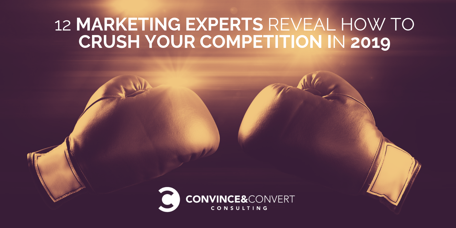 12 Marketing Experts Reveal How to Crush Your Competition in 2019