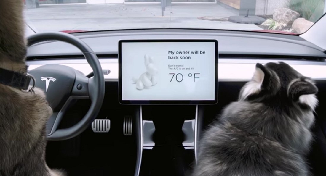 Tesla Launches Dog Mode To Protect Your Pooch