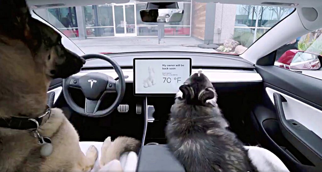 Tesla rolls out ‘Dog Mode’ to protect pets from hot cars while informing passersby of their safety