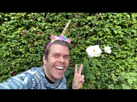 Jeffree Star Beefing With James Charles – Again! Pete Davidson Is Obsessed With Me! Ellen DeGeneres Hates Her Staff! And MORE! | Perez Hilton