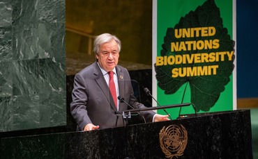 Global Briefing: UN summit confronts global biodiversity crisis