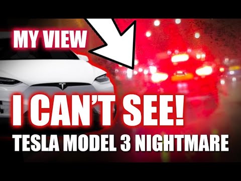 MY 4 MONTHS OF HELL WITH TESLA MODEL 3