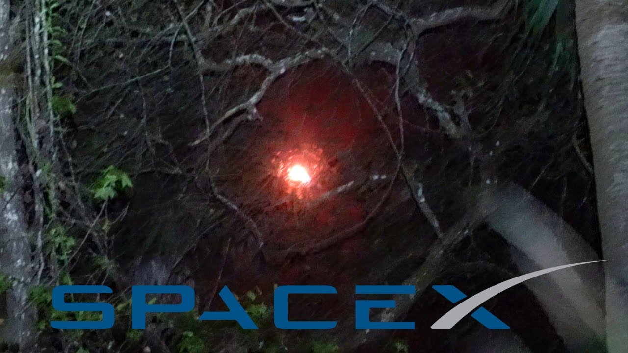 SpaceX Launch From The Florida Trail #shorts