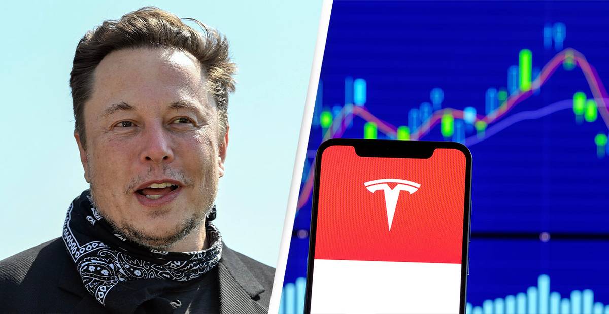 Elon Musk Crudely Responds To Senator Over Tesla Stock Poll