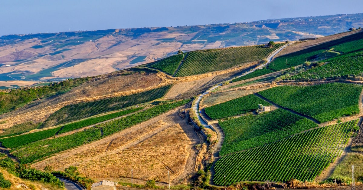 How a New Generation of Wine Pros Are Positioning Sicily to be the Next Great Italian Wine Region